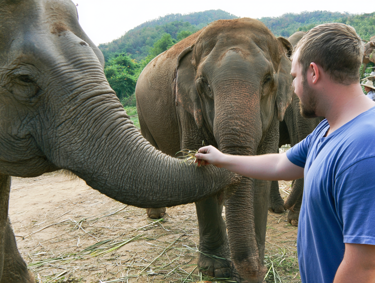 Ethical Guide to Elephant Sanctuaries